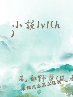 小说1v1(h)