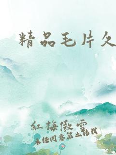 精品毛片久久久