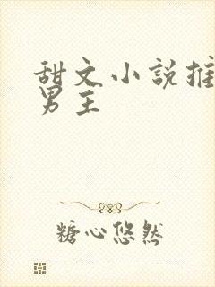 甜文小说推荐双男主