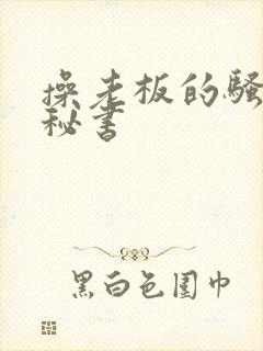 操老板的骚货女秘书