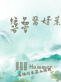 绝品医婿叶凡唐若雪