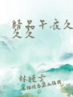 精品午夜久久久久久