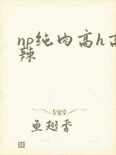 np纯肉高h高辣