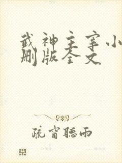 武神主宰小说未删版全文