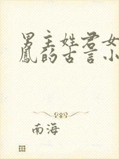 男主姓君女主姓凤的古言小说