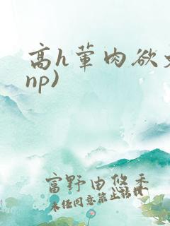 高h荤肉欲文(np)
