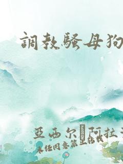 调教骚母狗重口
