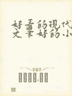 好看的现代言情文笔好的小说