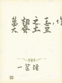 万相之王,作者天蚕土豆