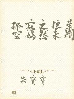 孤寂之狼叶凡司空嫣然未删减txt