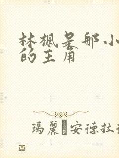 林枫是那小说里的主角