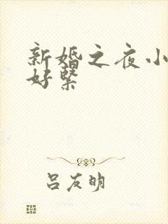 新婚之夜小嫩苞好紧