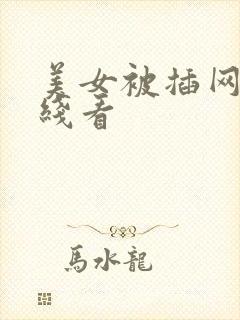 美女被插网站在线看