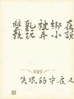 双乳被绑在床调教玩弄小说
