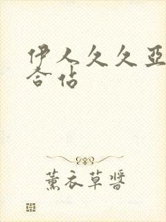 伊人久久亚洲综合站