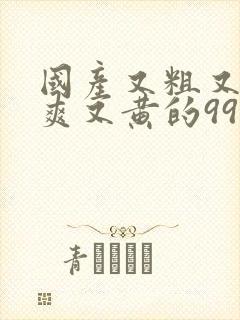 国产又粗又猛又爽又黄的99视频