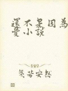 还不是因为我可爱小说