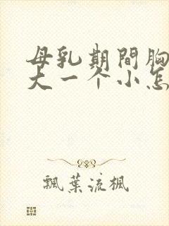 母乳期间胸一个大一个小怎么办