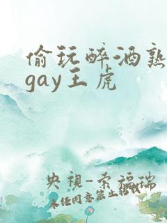 偷玩醉酒熟睡男gay王虎