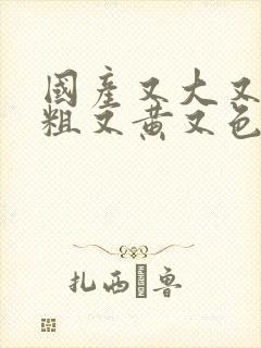 国产又大又长又粗又黄又色