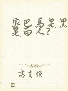 奥巴马是黑人还是白人?