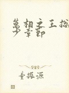 万相之王总共多少章节