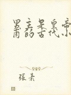 男主是皇帝姓皇甫的古代小说