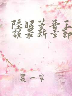 陆昭菱晋王的小说最新章节