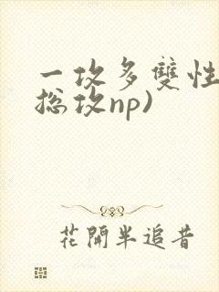 一攻多双性受(总攻np)