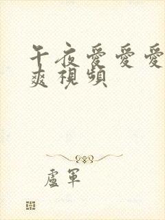 午夜爱爱爱爽爽爽视频