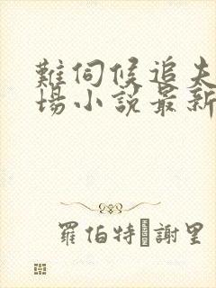 难伺候追夫火葬场小说最新章节更新