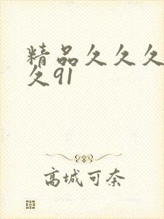 精品久久久久久久91