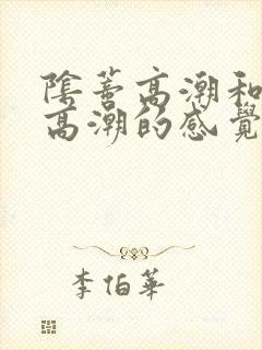 阴蒂高潮和阴道高潮的感觉