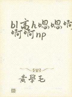 bl高h嗯嗯啊啊啊np