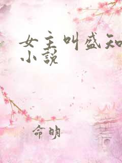 女主叫盛知晚的小说