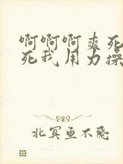 啊啊啊爽死了操死我用力操