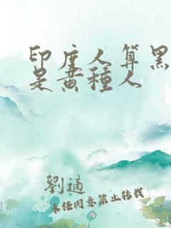 印度人算黑人还是黄种人