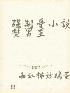 强制爱小说推荐双男主