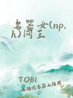 名器女(np,h)网王