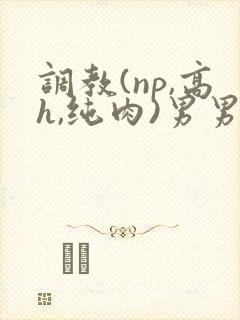 调教(np,高h,纯肉)男男