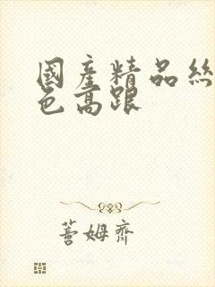 国产精品丝袜黑色高跟