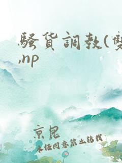 骚货调教(双性,np