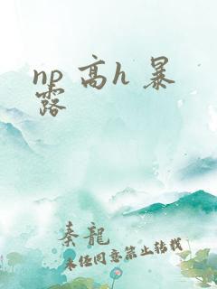 np 高h 暴露
