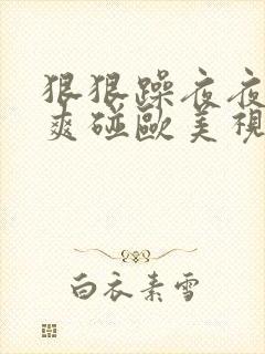 狠狠躁夜夜躁人爽碰欧美视频