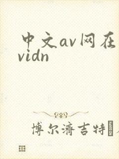 中文av网在线vidn