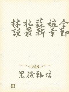 林北苏婉全本小说最新章节