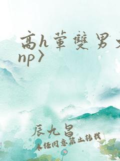 高h荤双男文〈np〉
