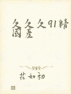 久久久91精品国产