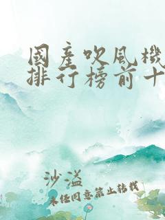 国产吹风机品牌排行榜前十名