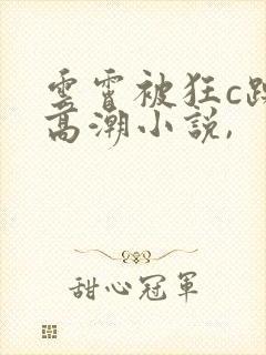 云霄被狂c躁到高潮小说,